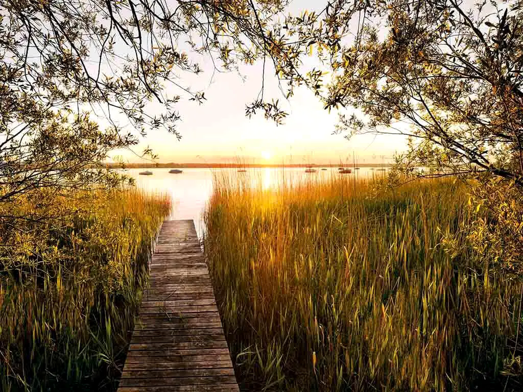 Fototapet Lakeside, Komar, peisaj cu ponton pe lac, 400x260 cm