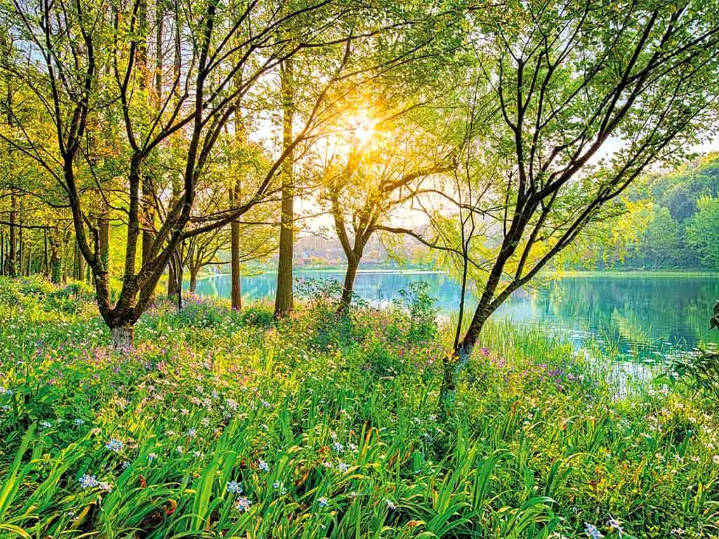 Fototapet peisaj Spring Lake, Komar, imagine cu natura, 368x254 cm