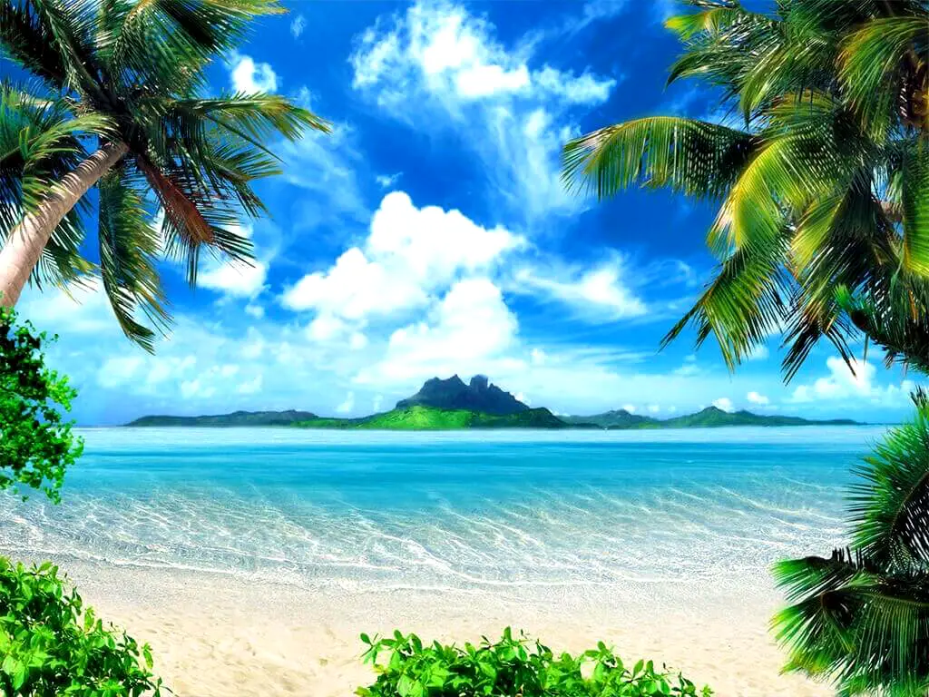 Fototapet Plajă cu palmieri