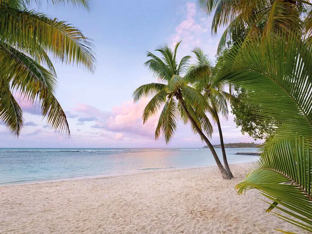 Fototapet Paradise Morning, Komar, peisaj plajă cu palmieri, 368x248 cm