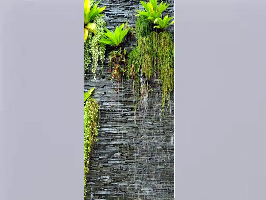 Fototapet Zid piatră cu plante, AGDesign, gri, 90x202 cm