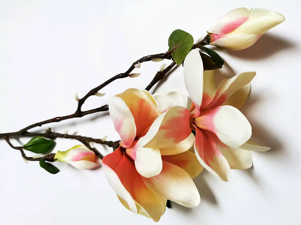 Magnolie artificială crem-roz, 80 cm înălţime