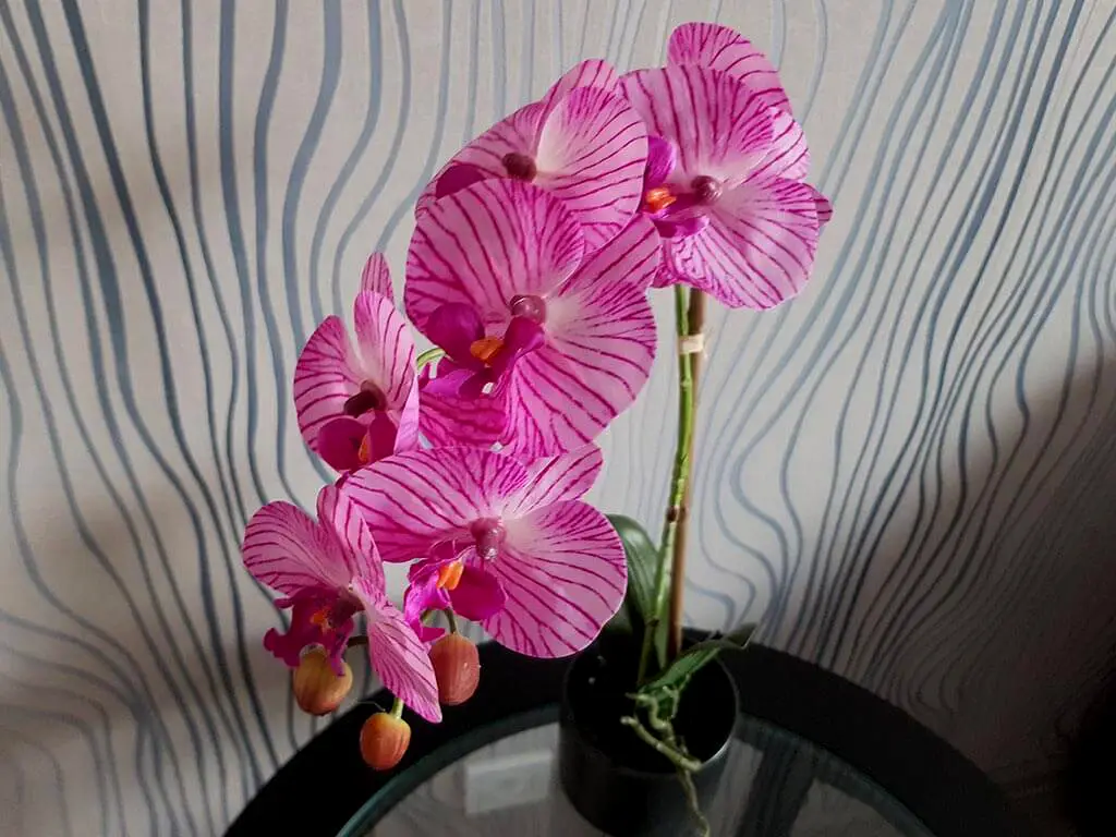 Flori artificiale, Folina, aranjament orhidee roz Olivia, 45 cm înălţime