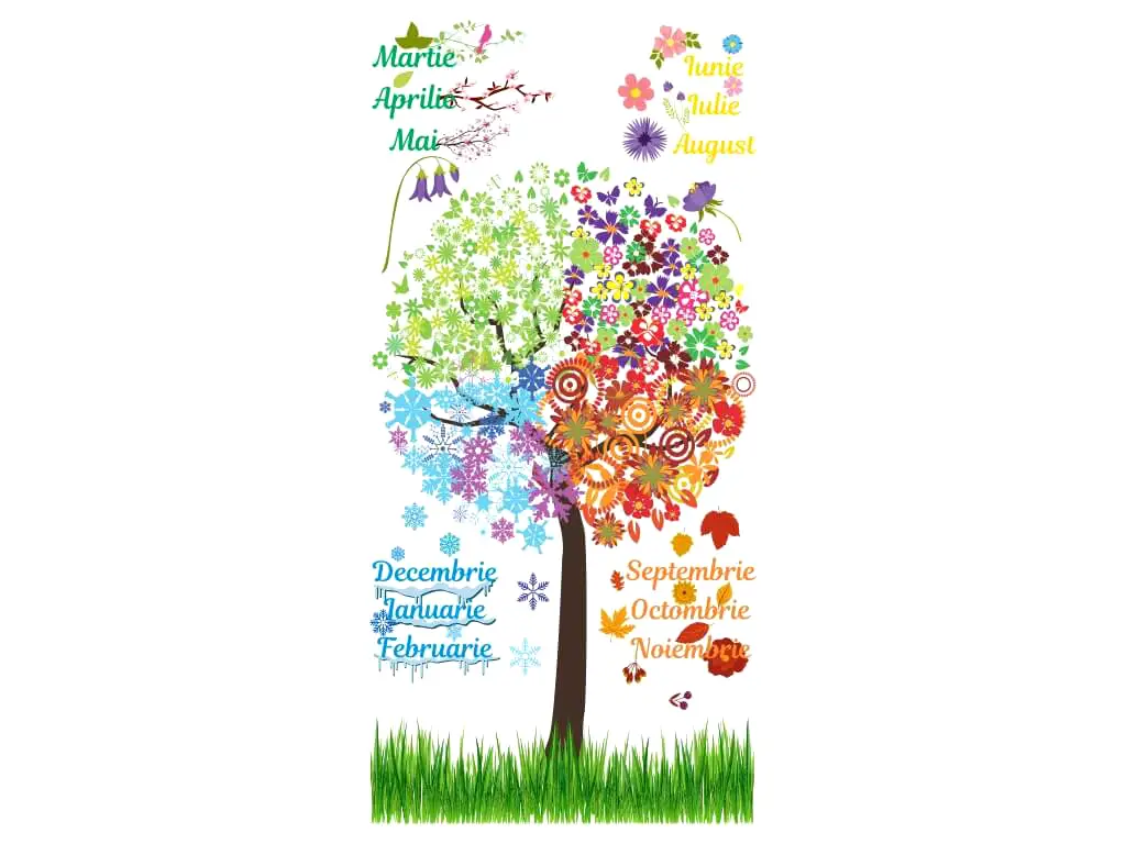 Sticker grădiniţă Copacul anotimpurilor, Folina, multicolor, planșă mare de 200x95 cm, racletă de aplicare inclusă