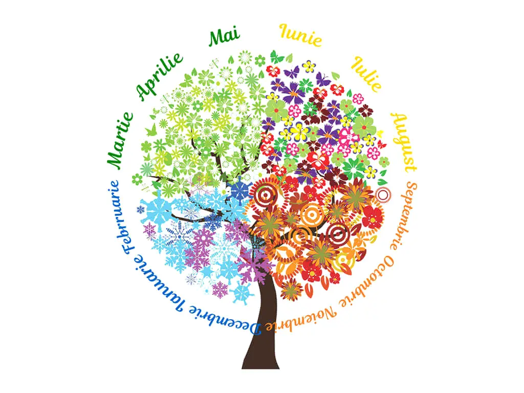 Sticker Copacul anotimpurilor şi lunile anului, Folina, multicolor, planșă mare de 100cm, racletă de aplicare inclusă