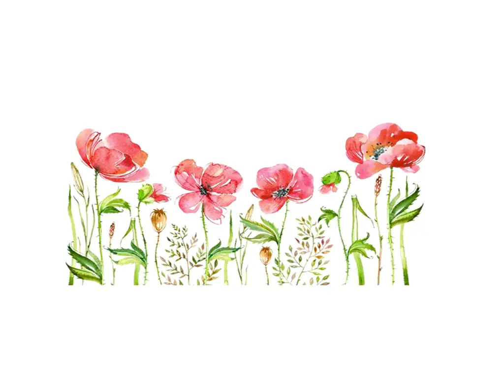 Stickere flori, Folina, maci roşii watercolor