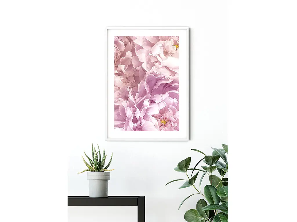 Tablou floral bujori roz, Komar Soave, cu ramă din lemn alb şi protecţie din plexiglass, 50x70 cm