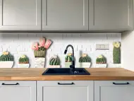 Autocolant perete bucătărie Cactus, Folina, model orizontal, rolă de 67x200 cm