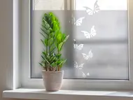 Folie geam autoadezivă Fluturi, cu model decupat, rolă de 61x70 cm, racletă inclusă