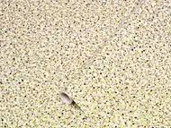 Autocolant mobilă, d-c-fix Terrazzo Stone, rolă de 67x150 cm