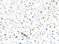 Autocolant mobilă, d-c-fix Terrazzo Neo, rolă de 67x200cm