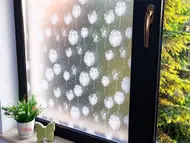 Folie geam autoadezivă, Folina Dandelion, sablare cu model păpădie albă, 90 cm lățimea rolei