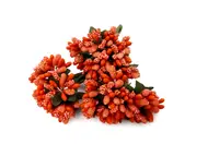 Set 144 stamine decorative portocalii