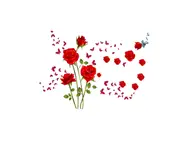Stickere flori, Folina, trandafiri roşii, decor cu flori şi fluturi