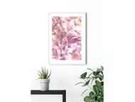 Tablou floral bujori roz, Komar Soave, cu ramă din lemn alb şi protecţie din plexiglass, 50x70 cm