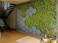 Fototapet 3D Green Vertical Garden, hexagoane gri si plante verzi, 400x260 cm