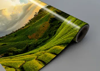 Autocolant bucatarie model peisaj apus 2