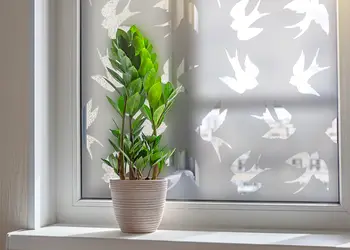 Autocolant sablare model pasari decupat x2