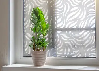 Autocolant sablare model valuri x2