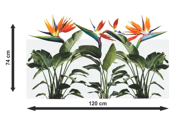Autocolant sablare pasarile paradisului x2
