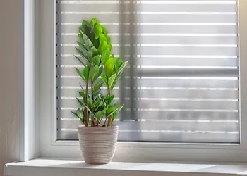 Autocolant sablat model martin decupat linii drepte x4