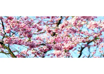 Creanga flori 200x80cm simulare