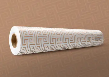 Folie geam linii bej 3