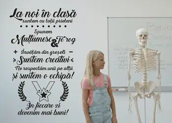 La noi in clasa simulare