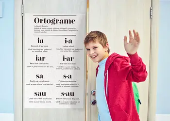 autocolant educational educativ ortograme vld21 60cm 90cm simulare