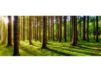 Padure 200x80cm simulare