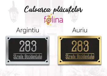 Placuta adresa model contemporan din bond argintiu sau auriu s1