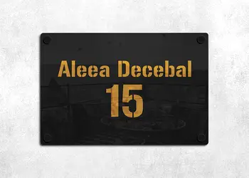 Placuta adresa model text auriu doua placi x10