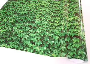 autocolant decorativ frunze iedera