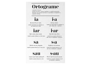 autocolant educational educativ ortograme vld21 60cm 90cm simulare