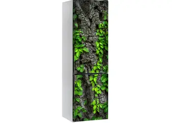 autocolant frigider iedera