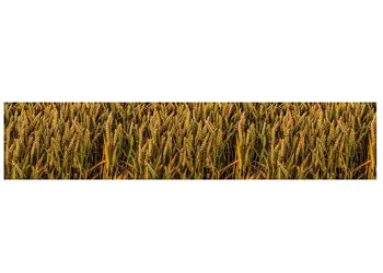 autocolant decorativ grau