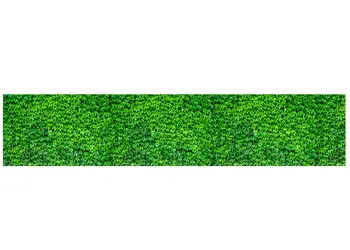 autocolant decorativ frunze iedera