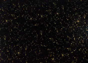 autocolant mobila negru lucios cu insertii bej