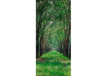 autocolant usa natura