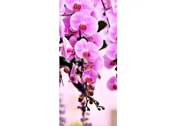 autocolant usa orhidee