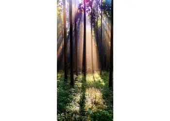 autocolant usa raze de lumina