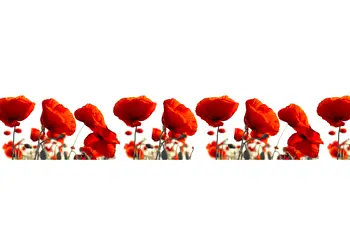 autocolant perete Maci Rosii