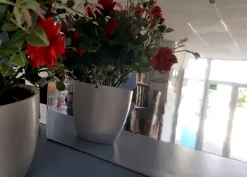 autocolant tip oglinda kointec argintiu 100 cm latime