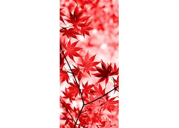 autocolant usa artar rosu 1