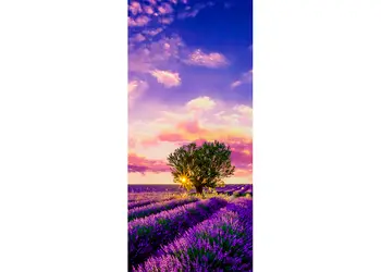 autocolant usa camp lavanda 1