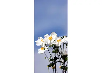 autocolant usa dalie 1