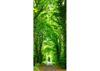 autocolant usa drum prin padure 1