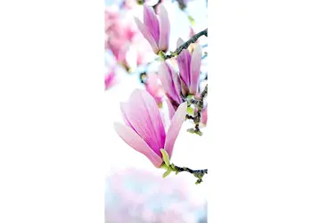 autocolant usa magnolie 1