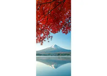 autocolant usa muntele fuji 1