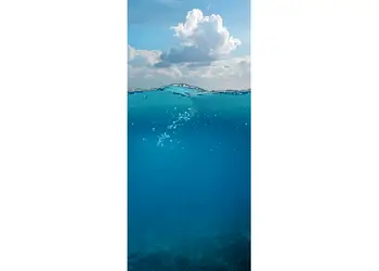 autocolant usa sub apa 1